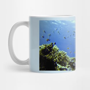 FINDING DORY IN THE WILD! Mug